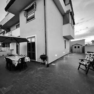 Sunflower Viareggio
